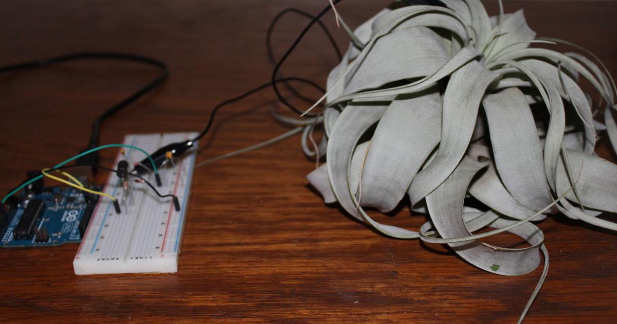 Touché Experiments — swept-frequency capacitive sensing with an air plant